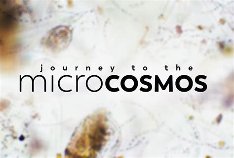 Journey to the Microcosmos: A Fun and Educational Dive into the World of Tiny Creatures!